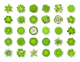 Top view tree landscape. Plants and trees icons, summer green planting organic eco symbol set spring park and forest modern ecological objects collection cartoon vector illustration