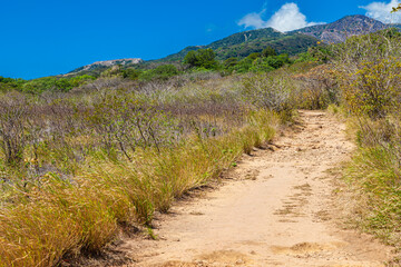 Costa Rica, around the Colorado river