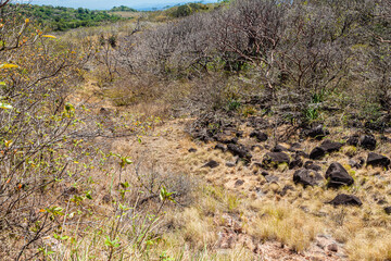 Costa Rica, around the Colorado river