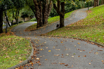 Autumn in La Rodriga Park