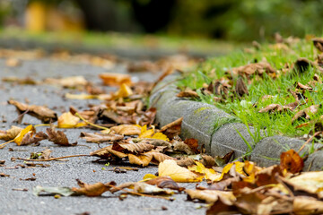 Autumn in La Rodriga Park