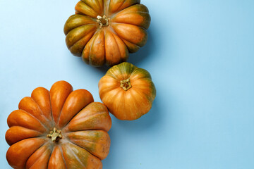 Small pumpkins on blue pastel background top view