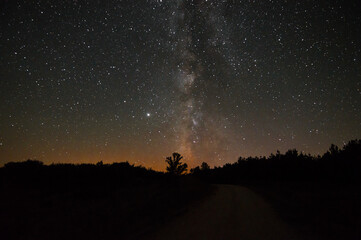 Starry sky in summer night with the Milky Way and great variety of colors. Forest with shadows. Panoramic photography