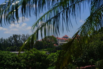 Fototapeta na wymiar シンガポールらしい熱帯樹林の向こうに見える高級アパート群