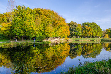 Landscape with autumn park in the sunny day. Yellow and green trees are displayed with reflection on the lake.