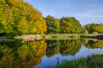 Fototapeta na wymiar Landscape with autumn park in the sunny day. Yellow and green trees are displayed with reflection on the lake.