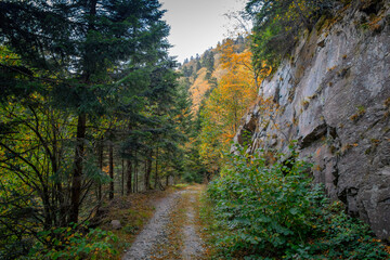 Fototapeta na wymiar Beautiful autumn mountain view and landscapes from the path from Ribaritsa to Eho hut chalet and peaks Yumruka and Kavladan, Central Balkan, Teteven, Bulgaria