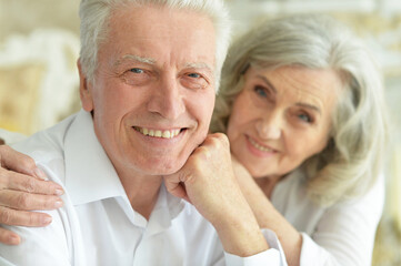 Portrait of happy beautiful senior couple posing at home