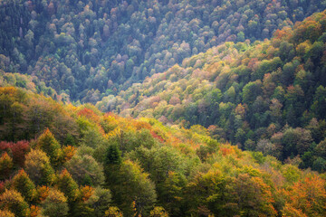 Beautiful autumn mountain view and landscapes from the path from Ribaritsa to Eho hut chalet and peaks Yumruka and Kavladan, Central Balkan, Teteven, Bulgaria