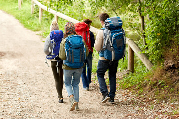 adventure, travel, tourism, hike and people concept - group of friends walking with backpacks in woods