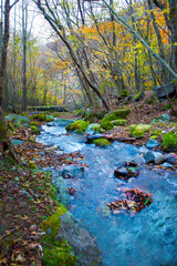 秋の沢の風景