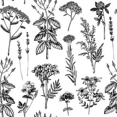 Botanical background with hand drawn spices and herbs. Decorative colorful backdrop with vintage medicinal plants sketches. Herbal seamless pattern.