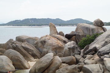 Penis Stein Thailand