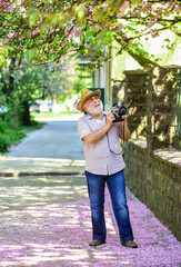 Spring holidays. Enjoying free time. Walking his favorite street. Travel and tourism. Photographer in garden. Capturing spring beauty. Senior man hold camera. Spring sakura bloom. Naturalist concept