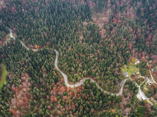 road in the autumn forest drone view