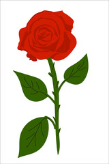 red rose with green leaves and thorns.