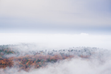 Watching fog roll through the forest from the summit of Mount Watatic in Ashburnham Massachusetts