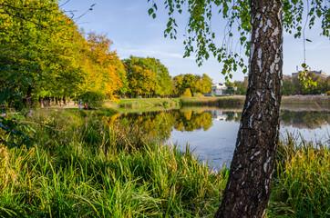 Landscape with autumn park in the sunny day. Yellow and green trees are displayed with reflection on the lake.