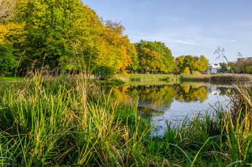 Landscape with autumn park in the sunny day. Yellow and green trees are displayed with reflection on the lake.