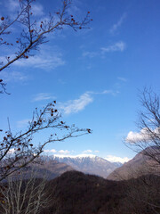 russian landscapes from different times and places