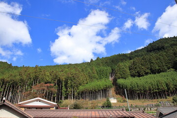 奈良　神社