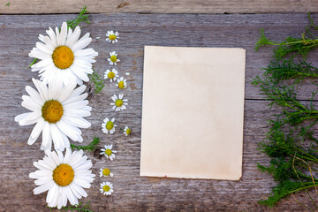 background for the text of craft paper on a wooden background with large and small daisies