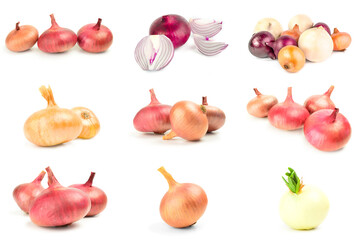 Collage of Bulb of onion isolated on a white background cutout