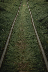 Obraz premium Pensando en el camino