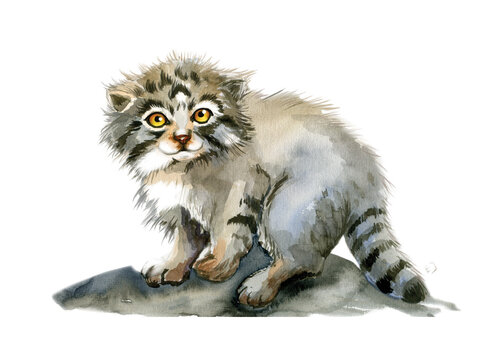 "Pallas Cat" Images – Browse 2,242 Stock Photos, Vectors, and Video ...