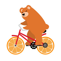 Brown bear  riding on a red retro bicycle