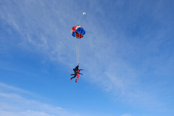 Naklejka na ściany i meble Skydiving. Tandem jump. The deployment of the parachute.