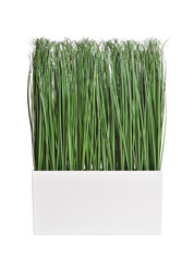 Artificial grass in a pot on a white isolated background