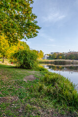 Landscape with autumn park in the sunny day. Yellow and green trees are displayed with reflection on the lake.