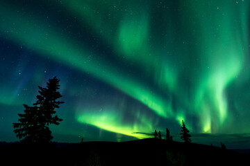 Northern lights on the starry sky at night in Yukon, Canada