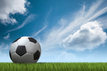 White and black soccer ball lying in green grass with cloudy blue sky in background. 3D illustration.