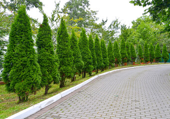 Ordinary landing of the tui west along the footpath. Landscape composition