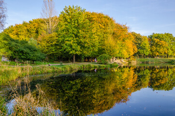 Landscape with autumn park in the sunny day. Yellow and green trees are displayed with reflection on the lake.