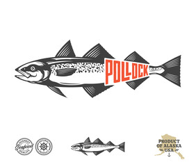 Vector Alaska pollock label isolated on a white background. Pollock fish illustration
