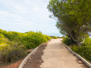 Path towards the sea. Surrounded by pine trees. Very peaceful and holiday atmosphere. Horizon.