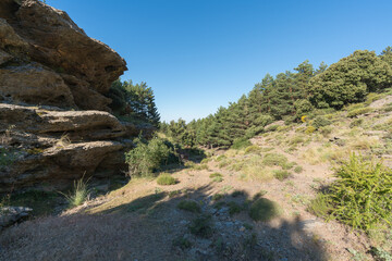 Ravine with vegetation in Sierra Nevada
