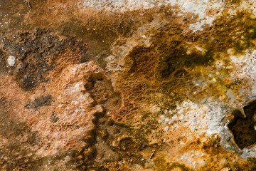 Geothermal area of Yellowstone National park