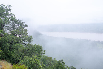 Cliff has evergreen forest, Fog covered in the morning, Copy space.