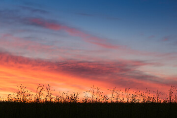 sunset of the red sun on a variegated colored sky