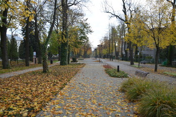 Busko Zdrój , puste ulice ,covid 19 Busko Zdrój , jesień 2020 Busko Zdrój , Busko Zdrój bez ludzi , bez ludności ulice , Busko Zdrój bez kuracjuszy , puste Park Zdrojowy w Busku Zdroju , Park w Busku © Szymon