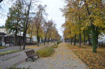 Busko Zdrój , puste ulice ,covid 19 Busko Zdrój , jesień 2020 Busko Zdrój , Busko Zdrój bez ludzi , bez ludności ulice , Busko Zdrój bez kuracjuszy , puste Park Zdrojowy w Busku Zdroju , Park w Busku © Szymon