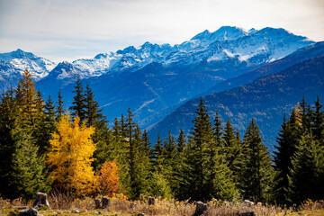 Autumn colours of the forests and mountains in the  Swiss Alps of Valais