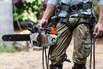 Cropped view of man with the chainsaw use safety harness and safety line working on a garden. Lumberjack with chainsaw against nature background. Concept building, contractor, repair, lumberjack.