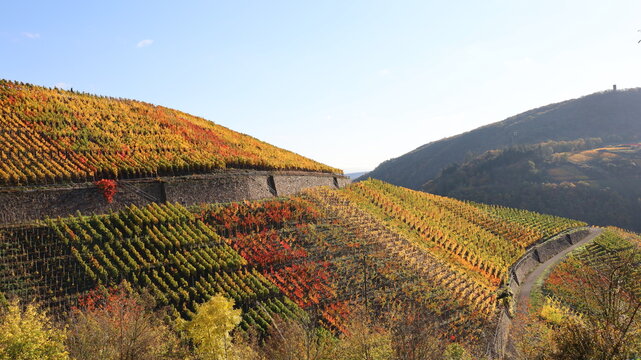 Bunte Weinberge im Herbst &uuml;ber dem Ahrtal bei herrlichem Sonnenschein