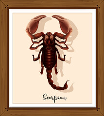 Scorpion on wooden frame