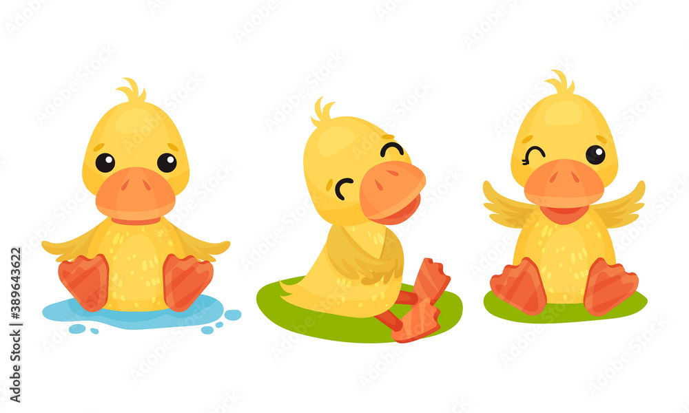 Poster funny yellow duckling sitting in puddle and smiling vector set